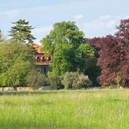  Kunst- und Kulturstiftung Hannover Sabine Hackerodt