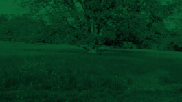  Kunst- und Kulturstiftung Hannover Sabine Hackerodt