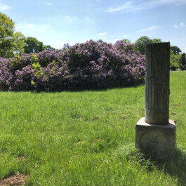  Kunst- und Kulturstiftung Hannover Sabine Hackerodt