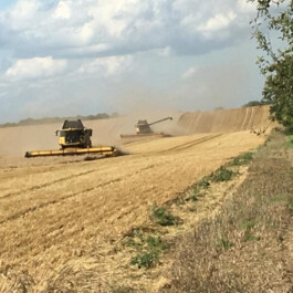  Kunst- und Kulturstiftung Hannover Sabine Hackerodt