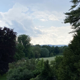  Kunst- und Kulturstiftung Hannover Sabine Hackerodt