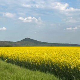  Kunst- und Kulturstiftung Hannover Sabine Hackerodt